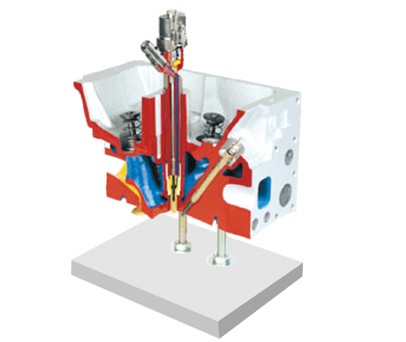 直喷式发动机气缸盖解剖模型